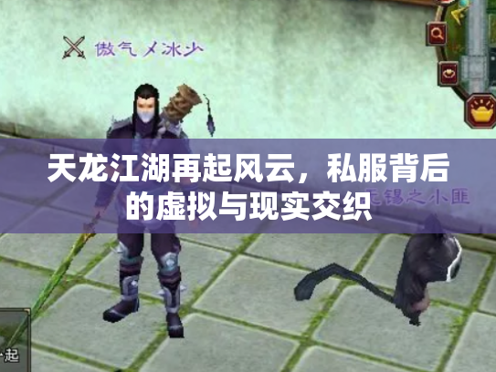 天龙江湖再起风云，私服背后的虚拟与现实交织