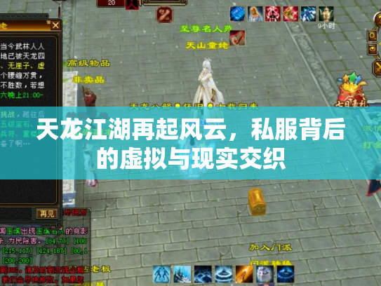 天龙江湖再起风云，私服背后的虚拟与现实交织