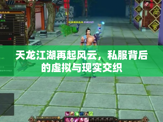 天龙江湖再起风云，私服背后的虚拟与现实交织