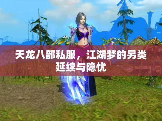 天龙八部私服，江湖梦的另类延续与隐忧