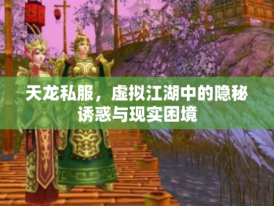 天龙私服，虚拟江湖中的隐秘诱惑与现实困境