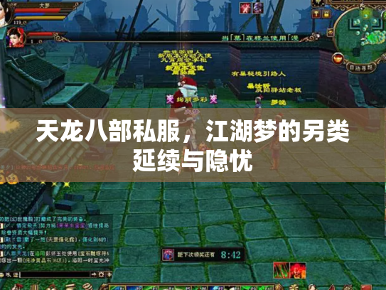 天龙八部私服，江湖梦的另类延续与隐忧