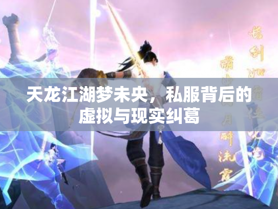 天龙江湖梦未央，私服背后的虚拟与现实纠葛