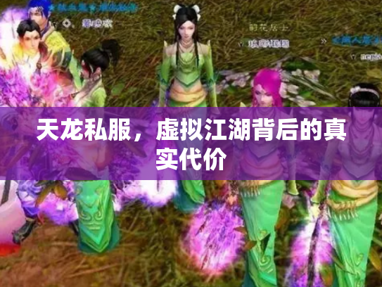 天龙私服，虚拟江湖背后的真实代价