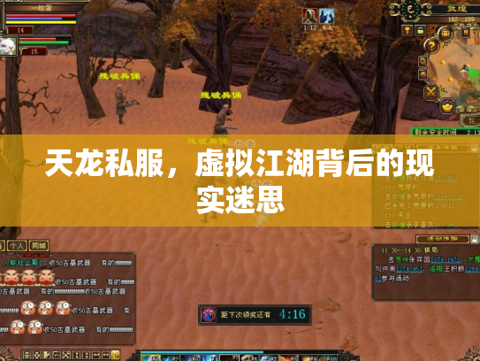 天龙私服，虚拟江湖背后的现实迷思