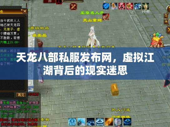 天龙八部私服发布网，虚拟江湖背后的现实迷思