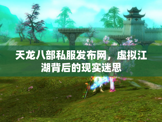 天龙八部私服发布网，虚拟江湖背后的现实迷思