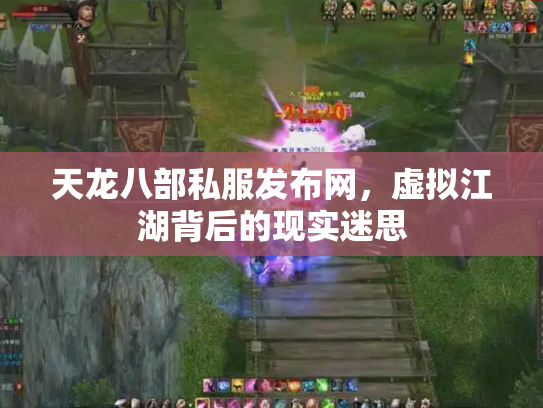 天龙八部私服发布网，虚拟江湖背后的现实迷思