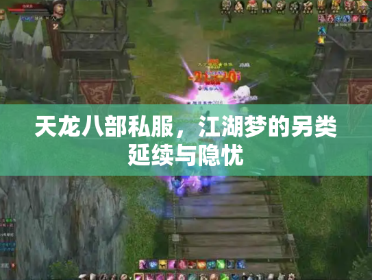 天龙八部私服，江湖梦的另类延续与隐忧