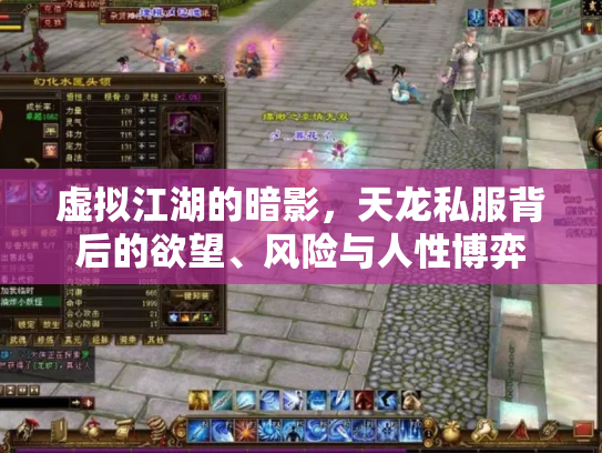 虚拟江湖的暗影，天龙私服背后的欲望、风险与人性博弈