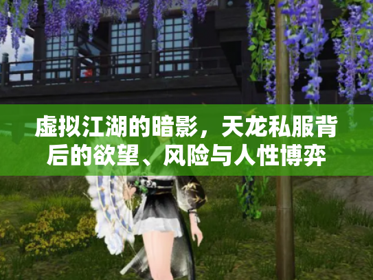 虚拟江湖的暗影，天龙私服背后的欲望、风险与人性博弈