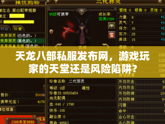 天龙八部私服发布网，游戏玩家的天堂还是风险陷阱？