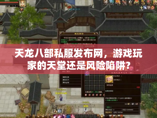 天龙八部私服发布网，游戏玩家的天堂还是风险陷阱？