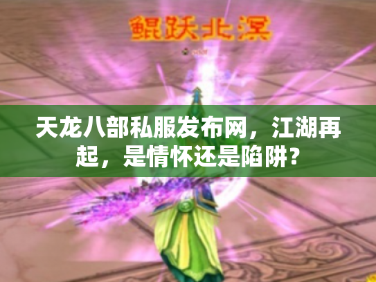 天龙八部私服发布网，江湖再起，是情怀还是陷阱？