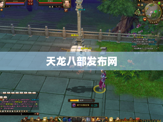 天龙八部发布网