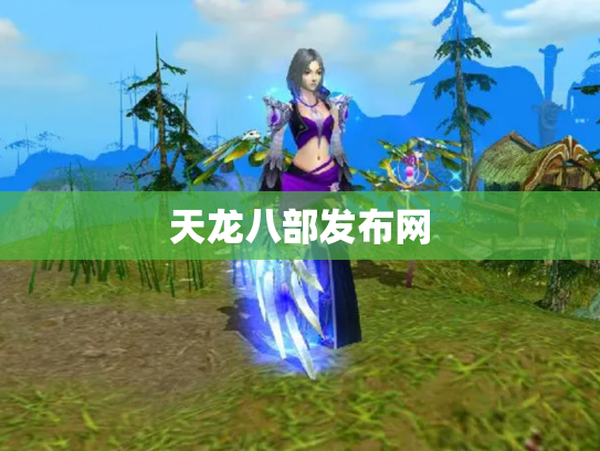 天龙八部发布网