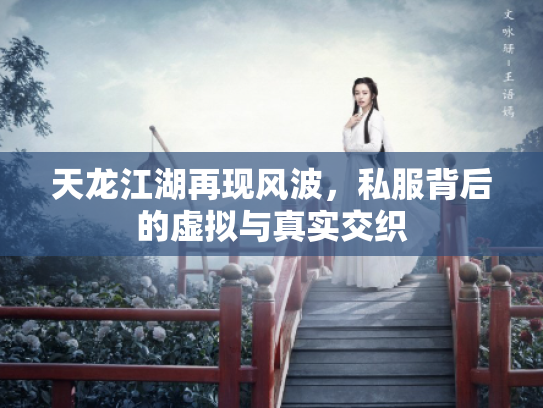 天龙江湖再现风波，私服背后的虚拟与真实交织