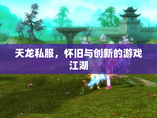 天龙私服，怀旧与创新的游戏江湖