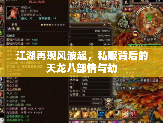 江湖再现风波起，私服背后的天龙八部情与劫