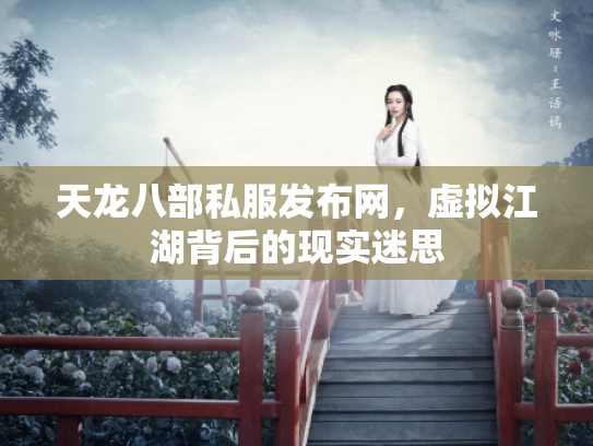 天龙八部私服发布网，虚拟江湖背后的现实迷思