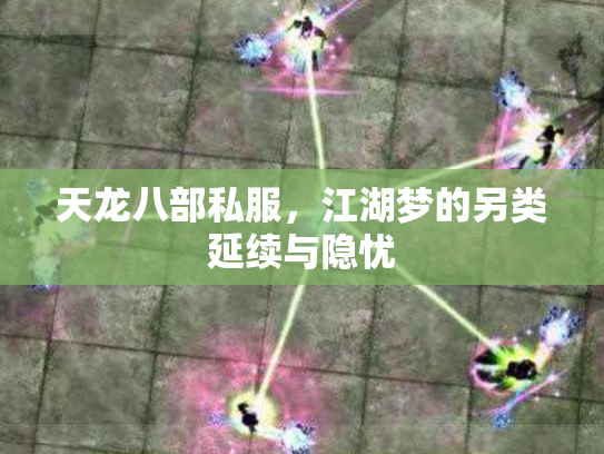 天龙八部私服，江湖梦的另类延续与隐忧