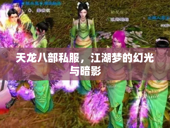 天龙八部私服，江湖梦的幻光与暗影