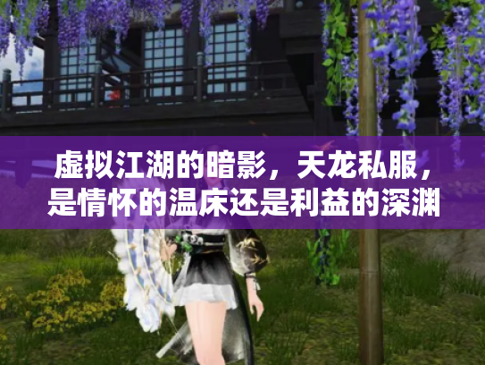 虚拟江湖的暗影，天龙私服，是情怀的温床还是利益的深渊？