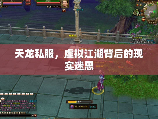 天龙私服，虚拟江湖背后的现实迷思