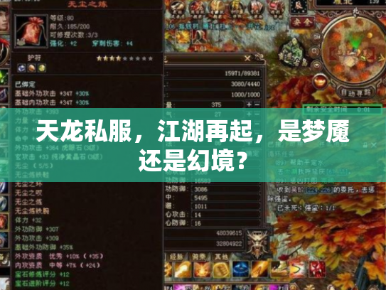 天龙私服，江湖再起，是梦魇还是幻境？