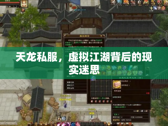 天龙私服，虚拟江湖背后的现实迷思