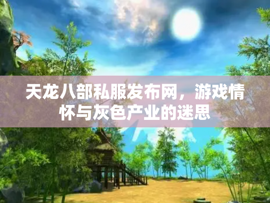 天龙八部私服发布网，游戏情怀与灰色产业的迷思