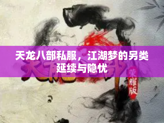 天龙八部私服，江湖梦的另类延续与隐忧