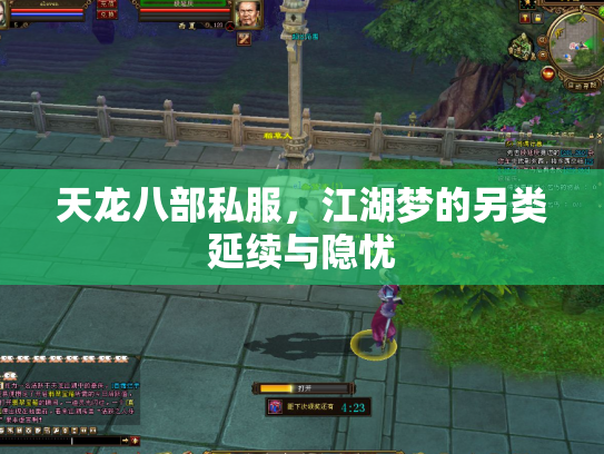 天龙八部私服，江湖梦的另类延续与隐忧