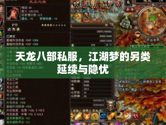 天龙八部私服，江湖梦的另类延续与隐忧