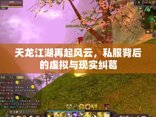 天龙江湖再起风云，私服背后的虚拟与现实纠葛