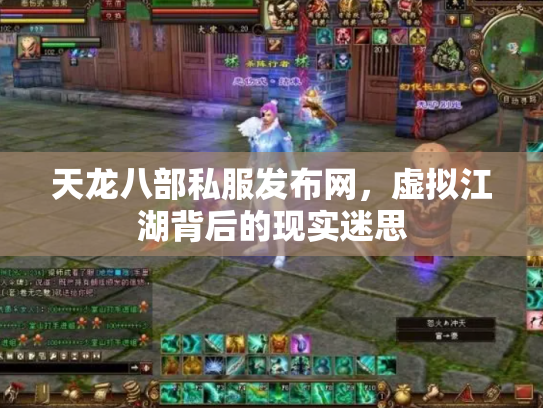 天龙八部私服发布网，虚拟江湖背后的现实迷思