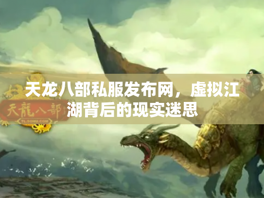 天龙八部私服发布网，虚拟江湖背后的现实迷思