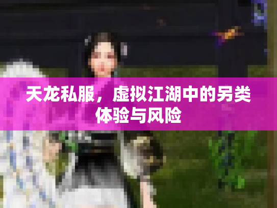 天龙私服，虚拟江湖中的另类体验与风险
