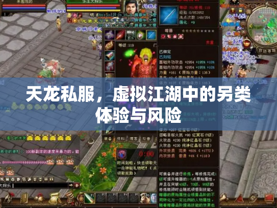 天龙私服，虚拟江湖中的另类体验与风险