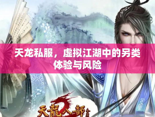 天龙私服，虚拟江湖中的另类体验与风险
