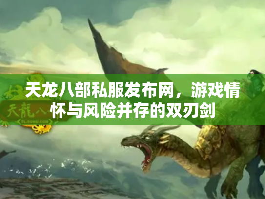 天龙八部私服发布网，游戏情怀与风险并存的双刃剑
