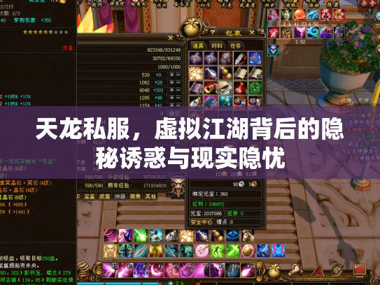 天龙私服，虚拟江湖背后的隐秘诱惑与现实隐忧