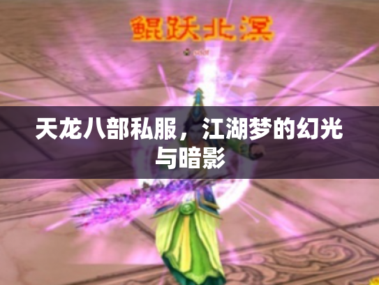 天龙八部私服，江湖梦的幻光与暗影