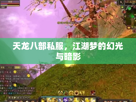 天龙八部私服，江湖梦的幻光与暗影