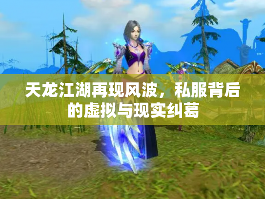 天龙江湖再现风波，私服背后的虚拟与现实纠葛