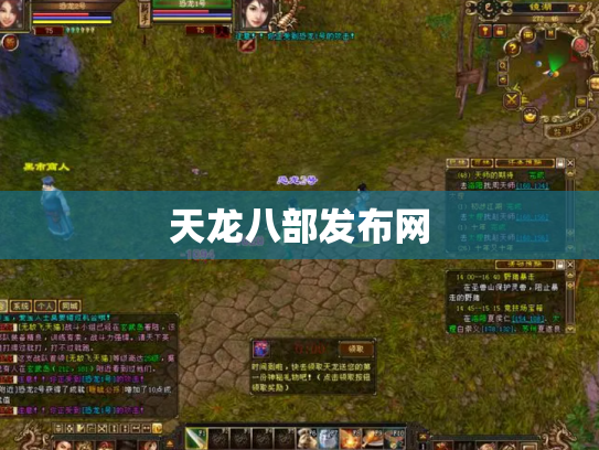天龙八部发布网