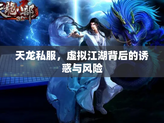 天龙私服，虚拟江湖背后的诱惑与风险
