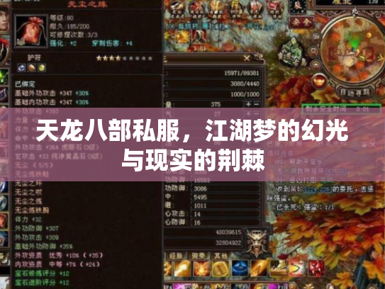 天龙八部私服，江湖梦的幻光与现实的荆棘