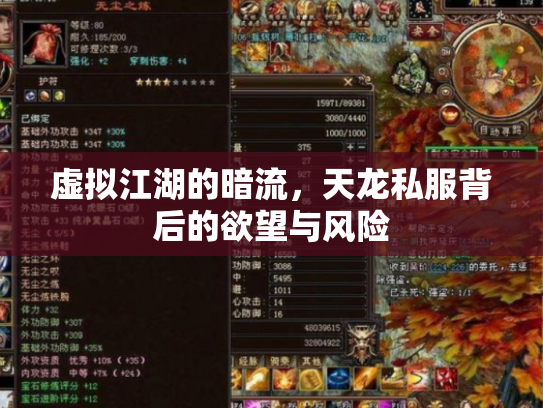 虚拟江湖的暗流，天龙私服背后的欲望与风险