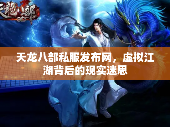 天龙八部私服发布网，虚拟江湖背后的现实迷思